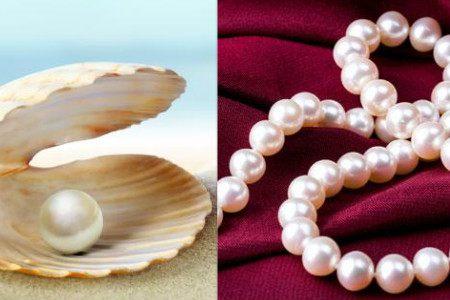 珍珠收藏的保养方法 教你一些小技巧